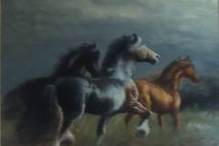 48405188_384371105470822_7782551968089636864_n
